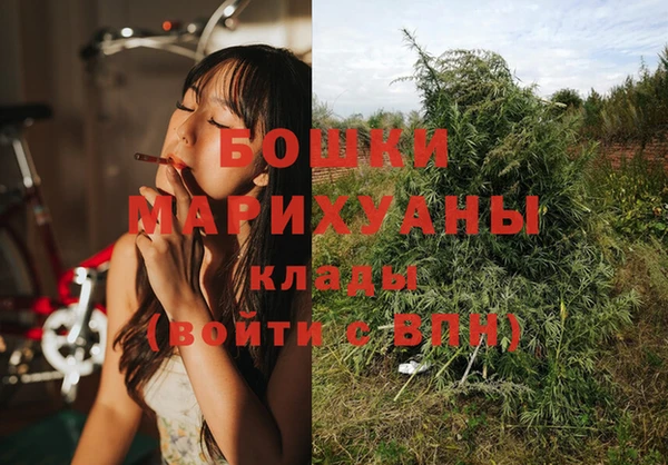 spice Верея