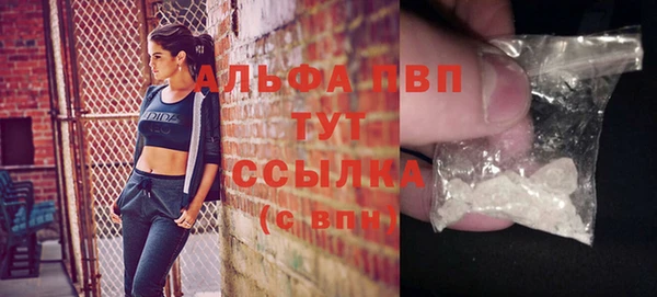 spice Верея