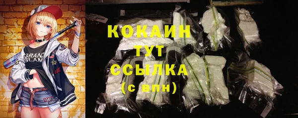 spice Верея