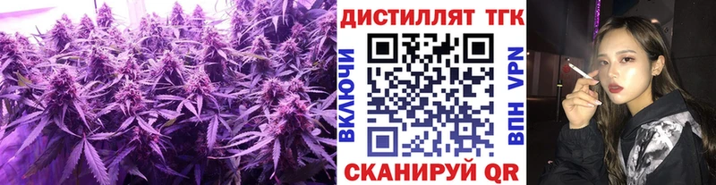 магазин  наркотиков  Каргополь  маркетплейс какой сайт  ТГК вейп 